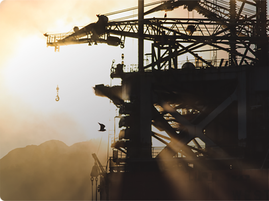 Wall Panels vs Traditional Paint: Which Wins?